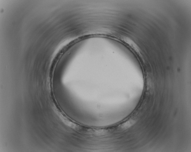 X0000062841072200601272010