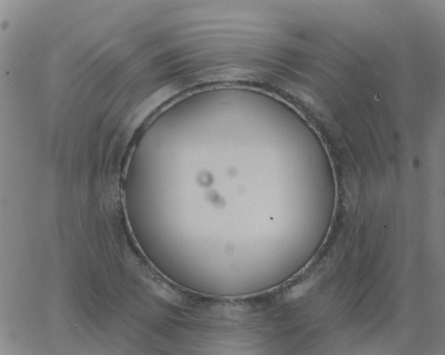 X0000062841073200601272010