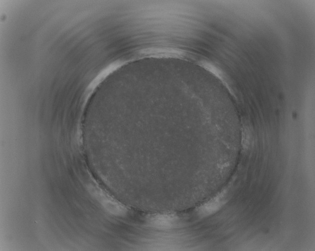 X0000062841074200601272010