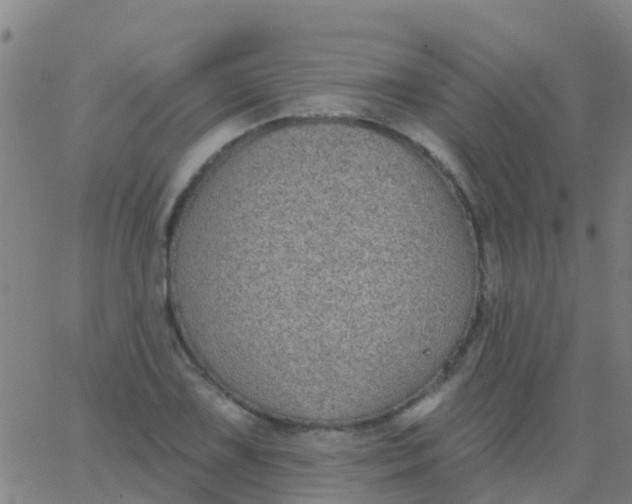 X0000062841075200601272010