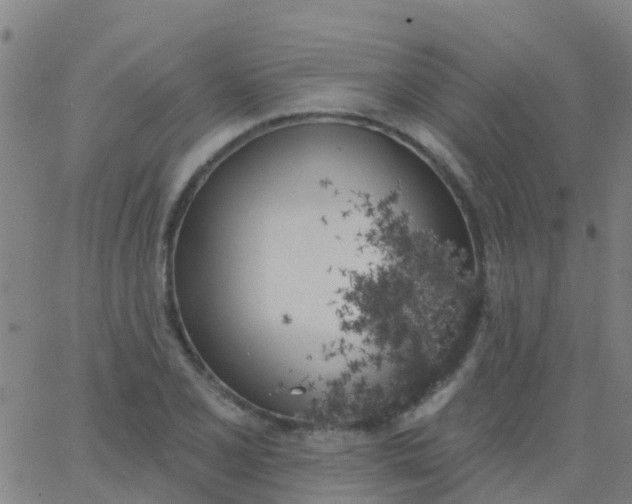 X0000062841077200601272010