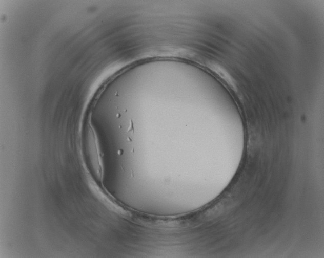 X0000062841080200601272010