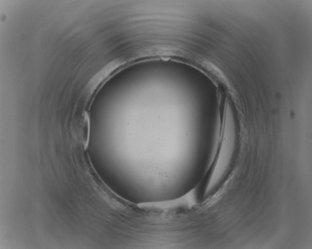 X0000062841081200601272010