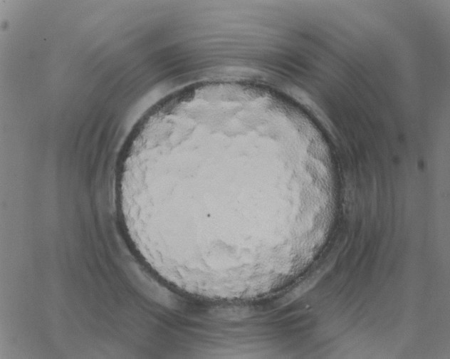 X0000062841083200601272010