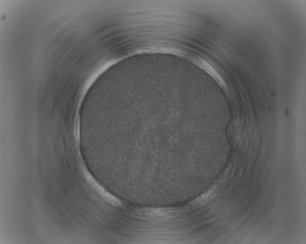 X0000062841084200601272010