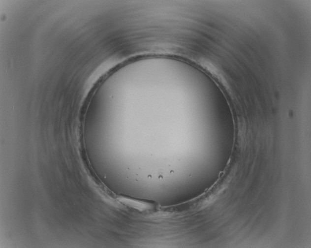 X0000062841085200601272010