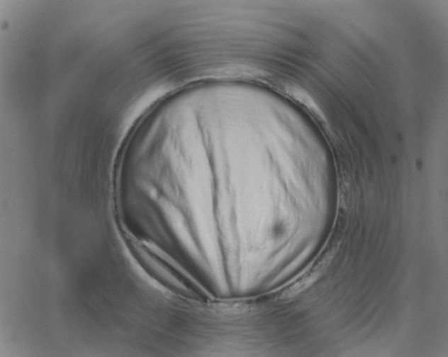 X0000062841087200601272010