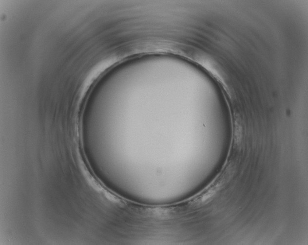 X0000062841088200601272010