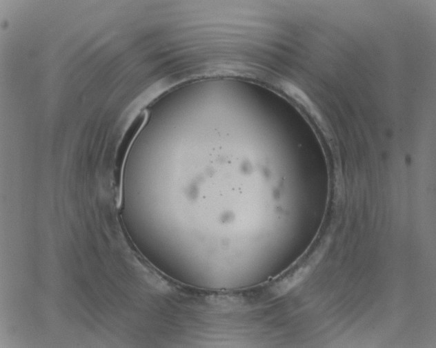 X0000062841089200601272010