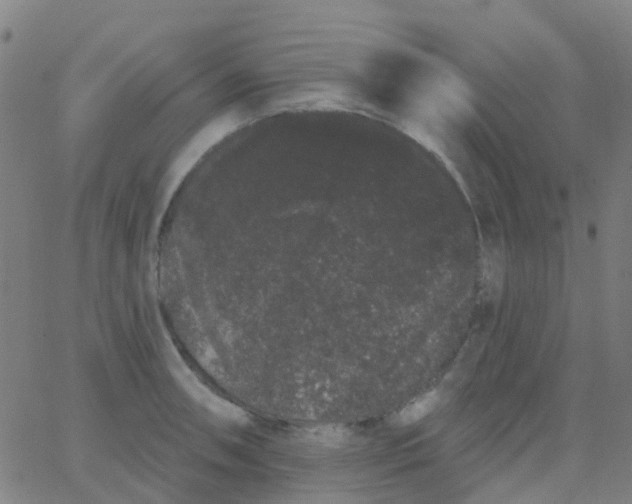 X0000062841090200601272010