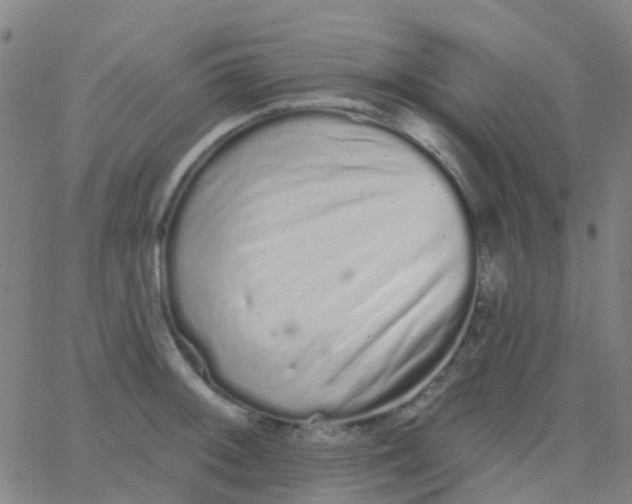 X0000062841092200601272010