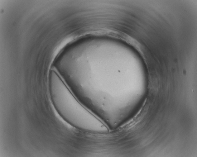 X0000062841095200601272010