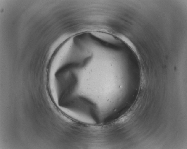 X0000062841096200601272010