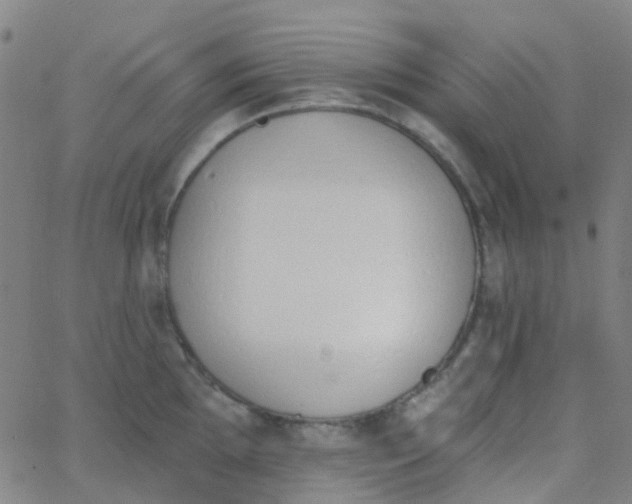 X0000062841097200601272010