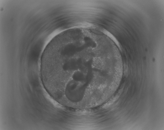 X0000062841099200601272010