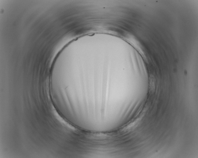 X0000062841100200601272010