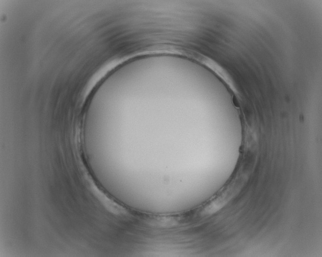 X0000062841101200601272010