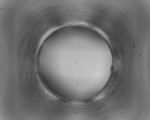 X0000062841102200601272010