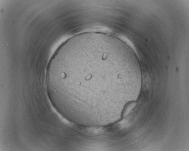 X0000062841103200601272010