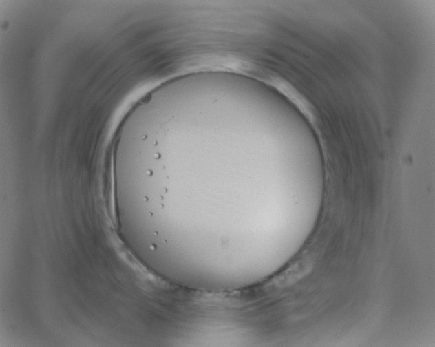 X0000062841104200601272010