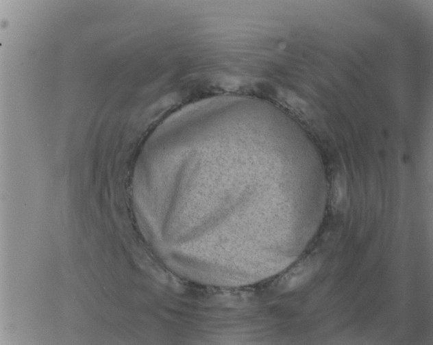 X0000062841105200601272009