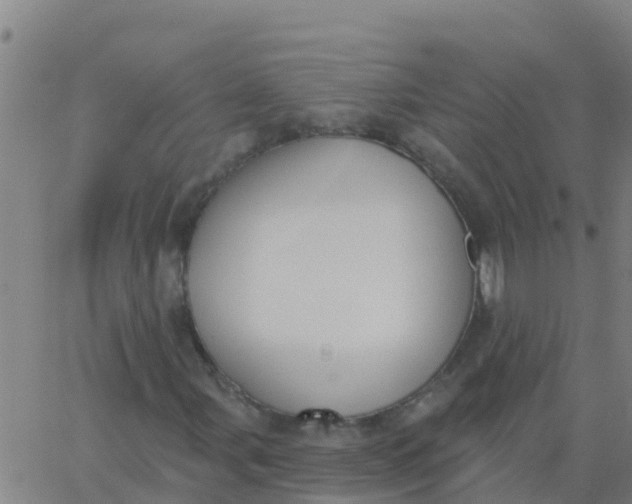 X0000062841107200601272009