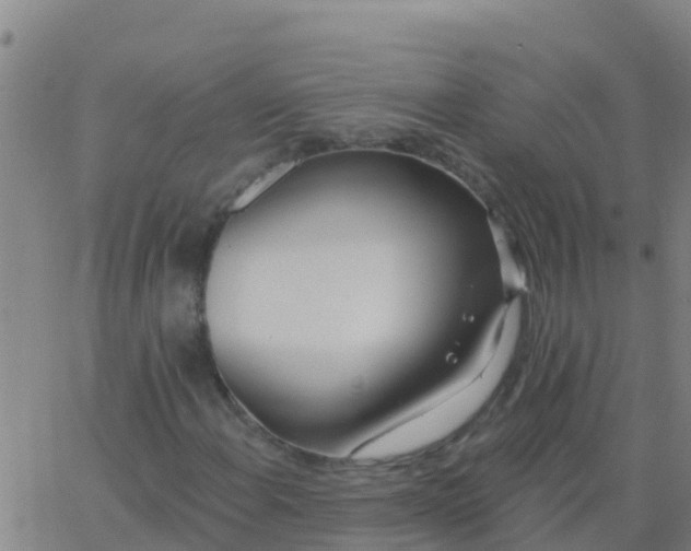 X0000062841108200601272009