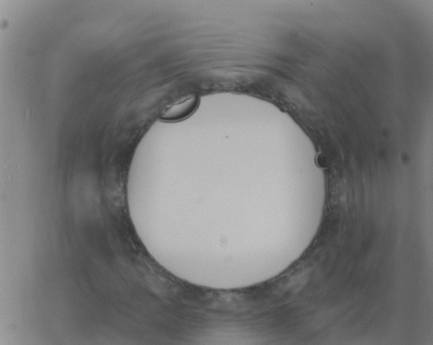 X0000062841109200601272009