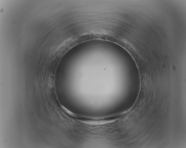 X0000062841110200601272009