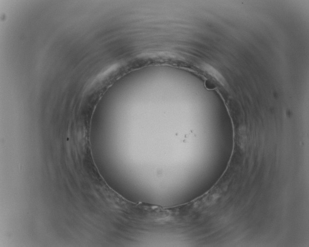 X0000062841111200601272009