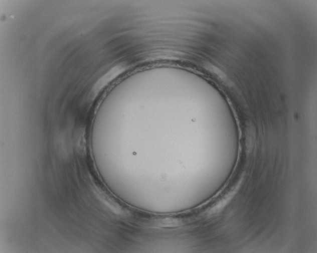 X0000062841113200601272009