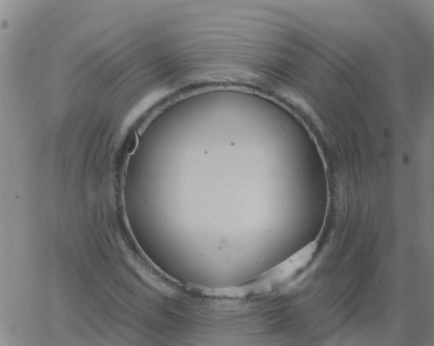 X0000062841114200601272009