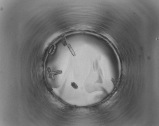 X0000062841115200601272009