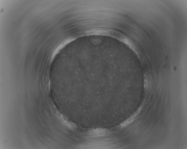 X0000062841117200601272009