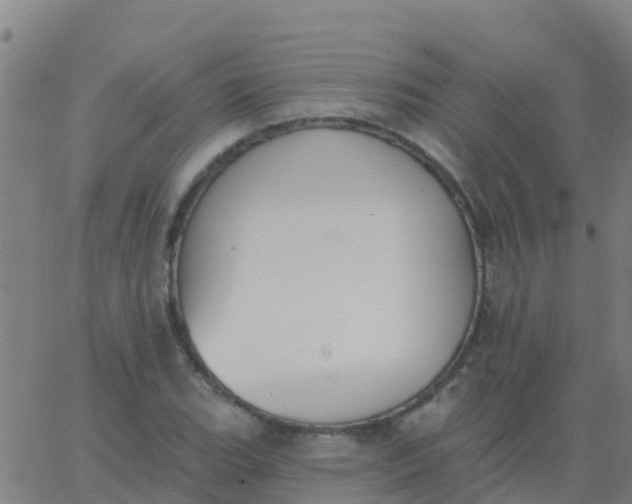 X0000062841119200601272009