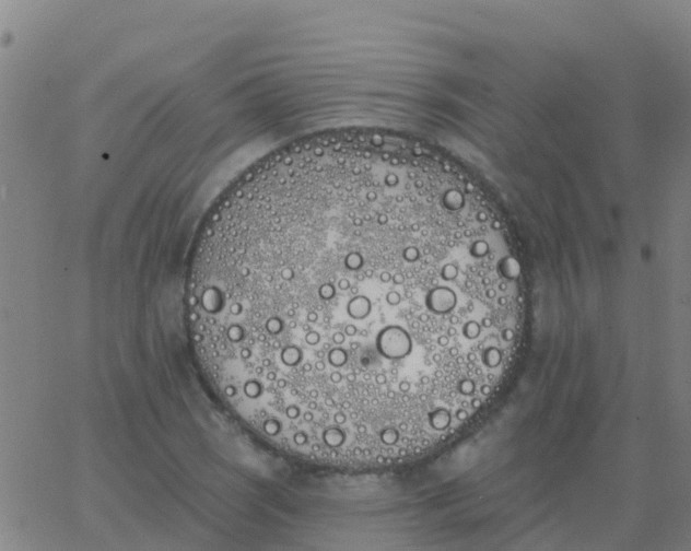 X0000062841121200601272009