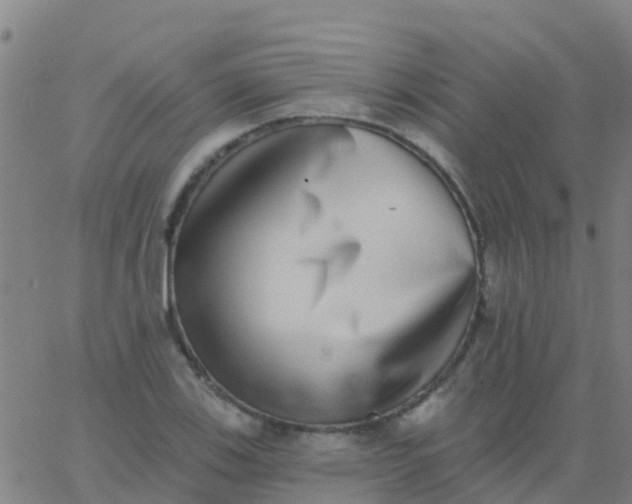 X0000062841123200601272009