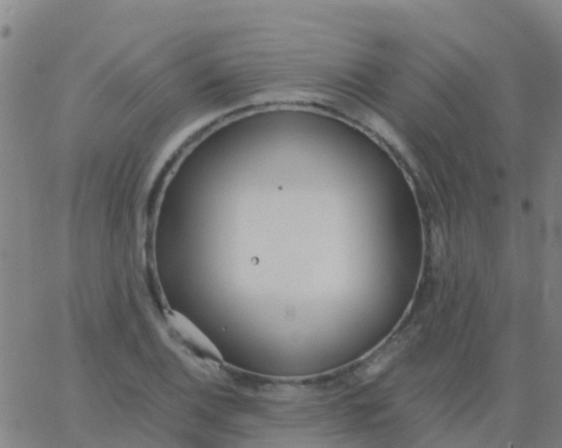 X0000062841124200601272009