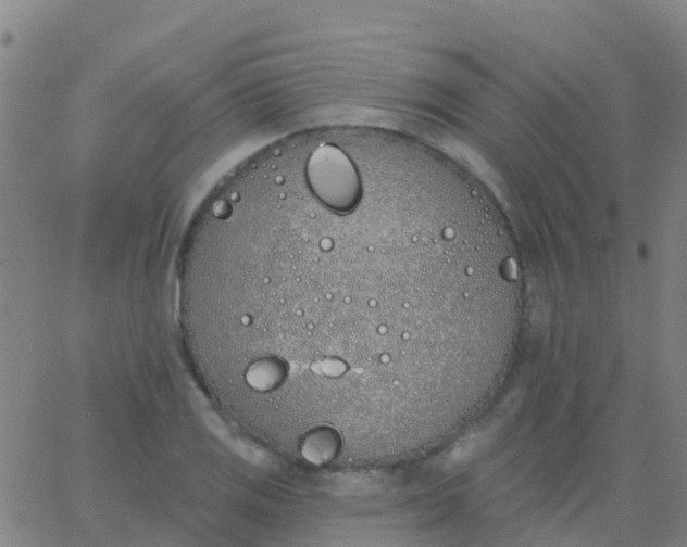 X0000062841125200601272009