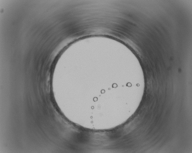 X0000062841126200601272009