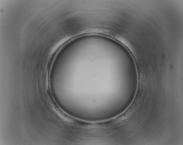 X0000062841127200601272009