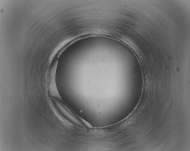 X0000062841128200601272009