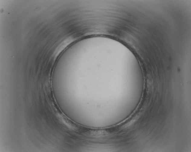 X0000062841129200601272009