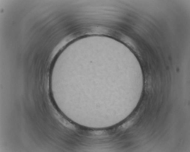 X0000062841130200601272009