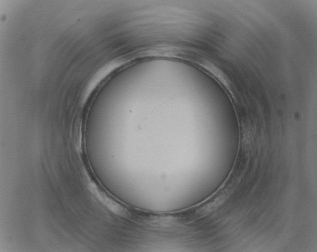 X0000062841131200601272009