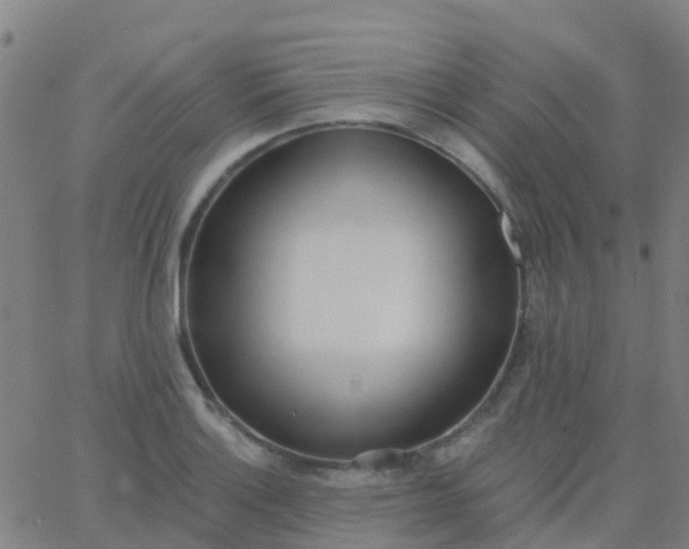 X0000062841132200601272009