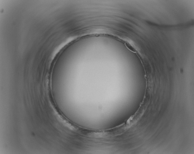 X0000062841134200601272009