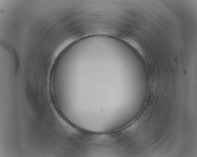 X0000062841135200601272009