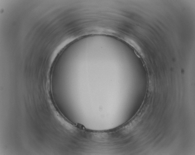 X0000062841136200601272009