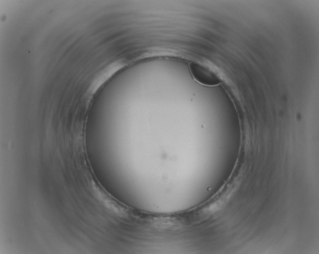 X0000062841137200601272010